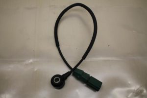 17799396 – 06E905377A – Pingelsensor