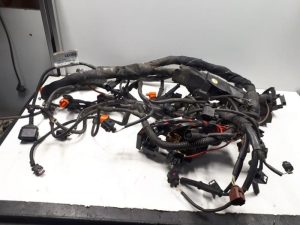 21527213 – 4G2971072EE – Kabelboom motorruimte