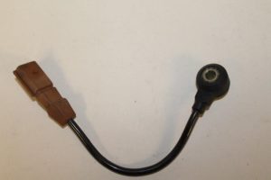 17789003 – 06A905377C – Pingelsensor