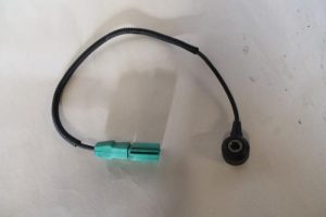 17789900 – 06E905377A – Pingelsensor