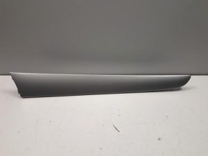 20298636 – 8R0867409R66 – Sierstrip