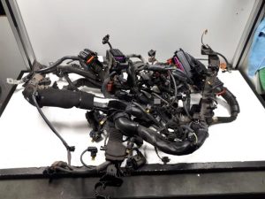 19052043 – 4H1971713DA – Kabelboom motorruimte