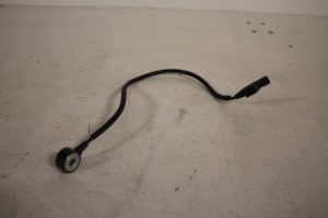 17804994 – 06E905377G – Pingelsensor