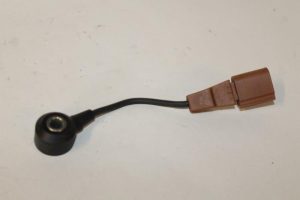 17789897 – 06F905377 – Pingelsensor