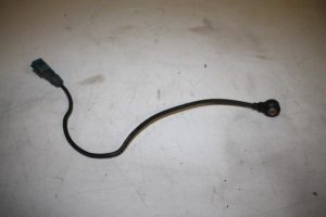 17828505 – 06C905377 – Pingelsensor
