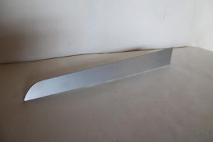 17789496 – 8K0867420F1NK – Zierleiste