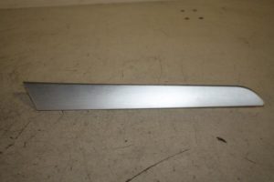 17807865 – 4F0867419H1NK – Zierleiste