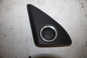 17813548 – 8R0035423A4PK – Speakerkap