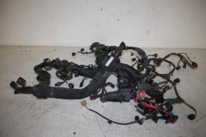 17813491 – 4H1971713DP – Kabelboom motorruimte