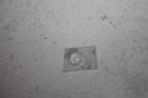 17817371 – 420837529 – Miscellaneous