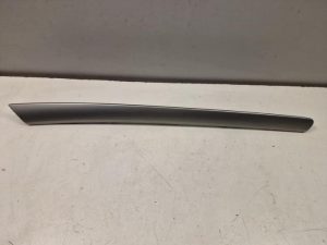 24012683 – 8T0867410R66 – Zierleiste