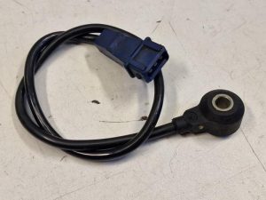 24266562 – 054905377G – Pingelsensor