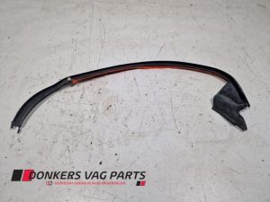 24502921 – 8P4833705B – Türgummi 4-türig links hinten